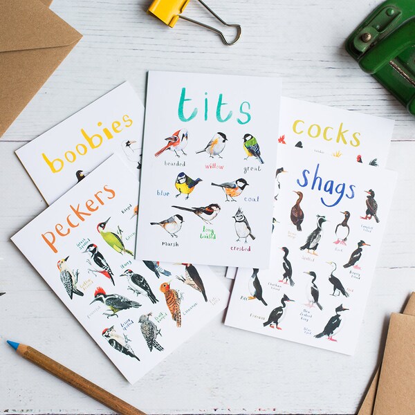 Lot de 5 jeux de cartes - cartes de voeux - illustrés oiseau - seins fous bites cormorans pic nature-carte - GC12345