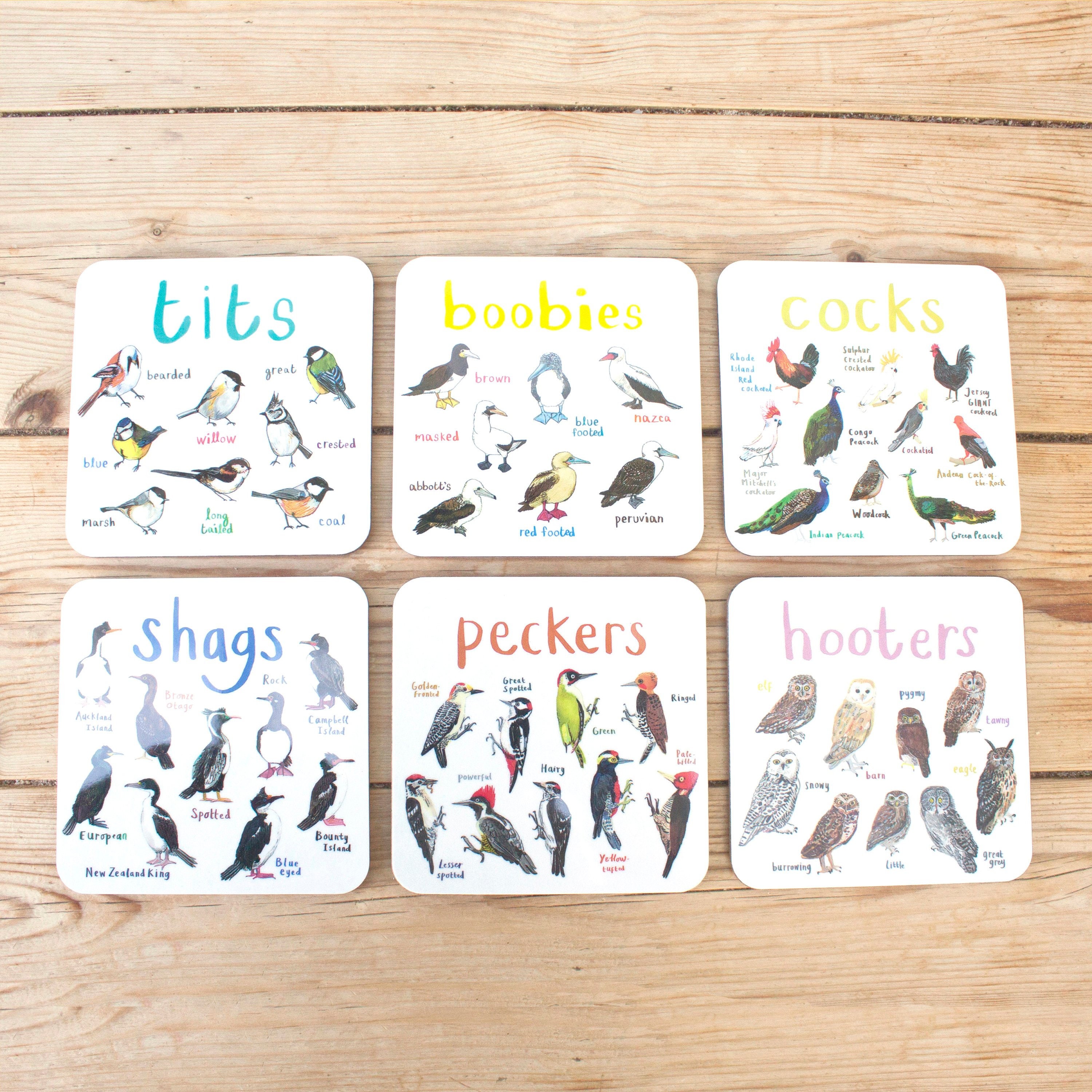 Set of 6 Bird Pun Coasters CS16SET Etsy