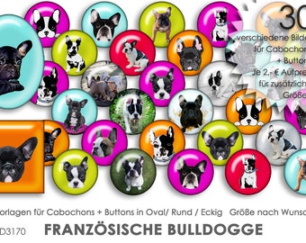 Französische Bulldogge FRENCHIE 30 Cabochonvorlagen Cabochon Vorlagen digital Download Buttonvorlagen Bilder für Schmuck template Collage
