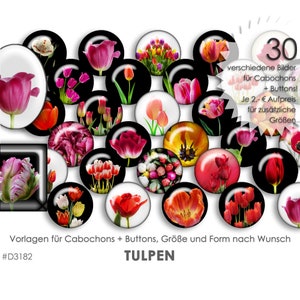TULPEN TULIPS 30 Cabochonvorlagen Cabochon Vorlagen digital Download Buttonvorlagen Bilder für Schmuck Cabochon Buttons template Collage