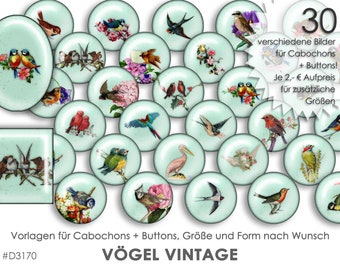 BIRDS VINTAGE 30 digital cabochon templates Cabochon templates digital download button templates jewelry images cabochons buttons collage