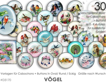 VÖGEL 30 Cabochonvorlagen Cabochon Vorlagen digital Download Buttonvorlagen Bilder für Schmuck Buttons Cabochon template Collage Vogel