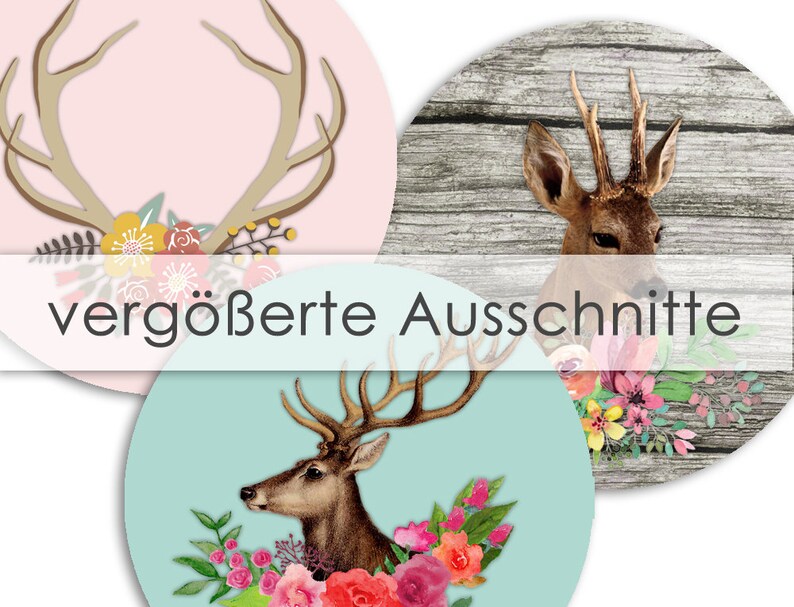 Puede incluir: Tres recortes redondos de papel imprimibles que presentan una cabeza de ciervo con cuernos y acentos florales. Los recortes est&aacute;n sobre un fondo rosa, azul y de madera. El texto "vergr&ouml;&szlig;erte Ausschnitte" es visible en el centro de la imagen.