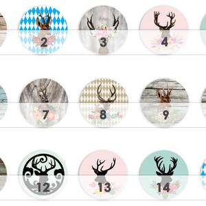 Puede incluir: Quince posavasos redondos de madera con diferentes dise&ntilde;os que presentan siluetas de ciervos, patrones florales y un patr&oacute;n de diamante b&aacute;varo. Los posavasos est&aacute;n numerados del 1 al 15.