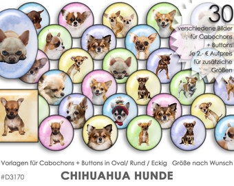 CHIHUAHUA 30 Digital Cabochon Templates Cabochon Templates Digital Download Button Templates Jewelry Pictures Buttons template Collage Small Dogs