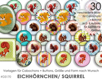 EICHHÖRNCHEN 30 Cabochonvorlagen Cabochon Vorlagen digital Download Buttonvorlagen Bilder für Schmuck Eichhörnchen Squirrel Collage