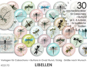 LIBELLEN - 30 Cabochonvorlagen Cabochon Vorlagen digital Download Buttonvorlagen Bilder für Schmuck Buttons Cabochon template Collage