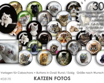 KATZEN Fotos 30 Cabochonvorlagen Cabochon Vorlagen digital Download Buttonvorlagen Bilder für Schmuck Cabochon Buttons template Collage