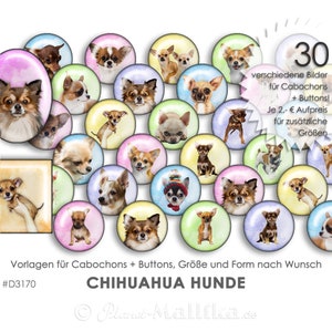 CHIHUAHUA 30 digitale Cabochonvorlagen Cabochon Vorlagen digital Download Buttonvorlagen Schmuckbilder Buttons template Collage Kleine Hunde