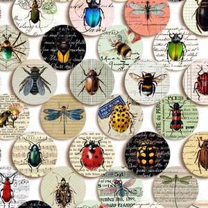10 Bunte Käfer-Cabochons Aus Kunstharz Für Bastelarbeiten, 1,5 Cm Groß, Flache Rückseite Für Schleim & Schmuck