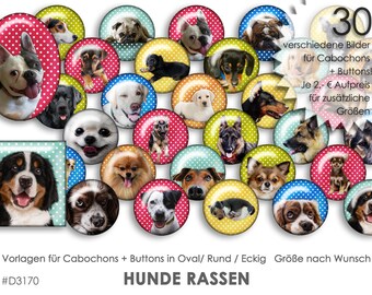 HUNDE RASSEN 30 digitale Cabochonvorlagen Cabochon Vorlagen digital Download Buttonvorlagen Bilder Schmuck Cabochon Buttons template Collage