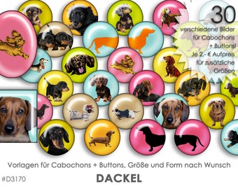 DACKEL Teckel 30 Cabochonvorlagen Cabochon Vorlagen digital Download Buttonvorlagen Bilder für Schmuck Cabochon Buttons template Collage