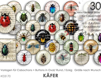 KÄFER 30 Cabochonvorlagen Cabochon Vorlagen digital Download Buttonvorlagen Bilder für Schmuck Cabochon Buttons Cabochon template Collage