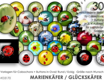 LADYBUG Ladybug 30 digital cabochon templates Cabochon templates digital download button templates pictures jewelry cabochon buttons collage