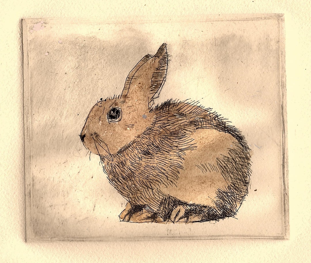 Small Rabbit Print Small Bunny /etching - Etsy