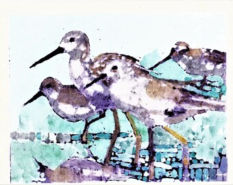 print / Sandpipers combing the beach for food....