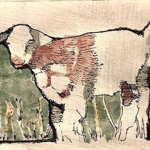 May include: A hand-drawn illustration of a white goat with brown markings standing in a field of green grass. The goat is facing to the left and has a long, thin tail.