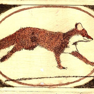 Fox Trott