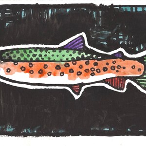 Rainbow Trout / print