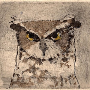May include: A close-up of an owl's face with yellow eyes. The owl is depicted in a brown and grey colour palette, with a textured background.