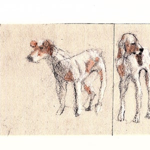 Sketch of Two Dogs