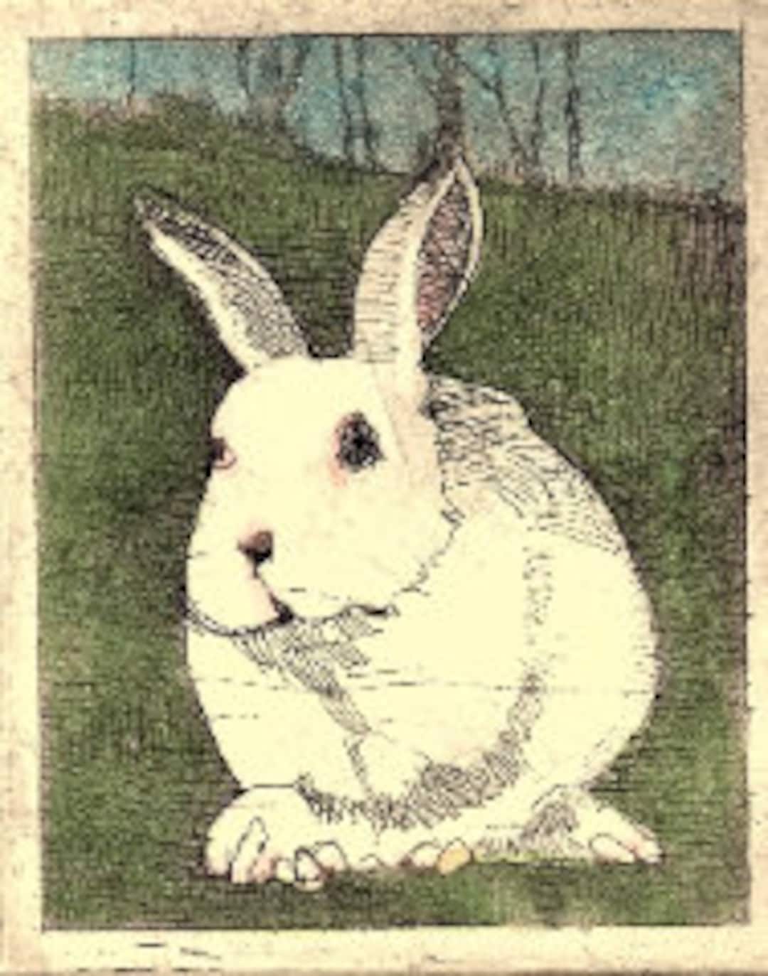 White Bunny / Etching - Etsy