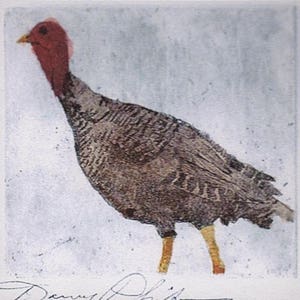 Puede incluir: Un pavo marrón y gris con la cabeza y la papada rojas, de pie sobre un fondo blanco. El pavo está mirando hacia la izquierda de la imagen. La firma del artista, "Danny Roberts", está en la esquina inferior derecha de la imagen.