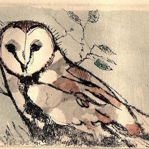 Barn Owl / etching