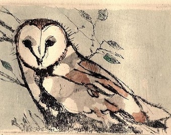 Barn Owl / etching