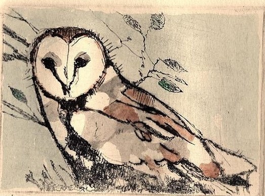 Barn Owl / etching
