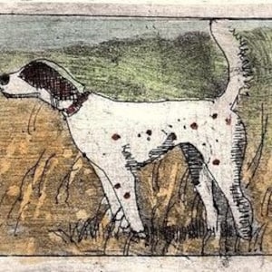 English Setter /etching