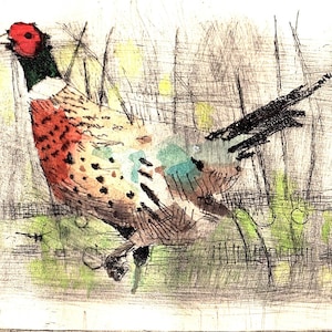 Pheasant
