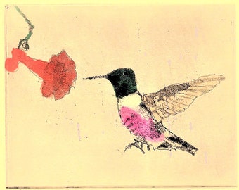 Hummingbird / etching