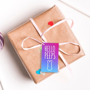 Puede incluir: Un regalo envuelto en papel marrón con una cinta rosa y una etiqueta que dice "Hello Peeps" con un conejito. Dos grandes piruletas rosas y blancas en espiral a cada lado del regalo, todo sobre un fondo blanco.