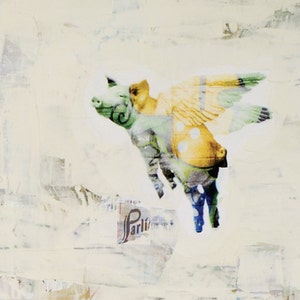 May include: A white background with a collage of a pig with wings. The pig is green, yellow, and white. The wings are yellow and green. The pig is flying.