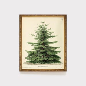 Vintage Christmas Tree Art, Christmas Decor, Printable Winter Wall Painting, Pine Fir Tree, Neutral Moody Holiday Art, Christmas Botanical