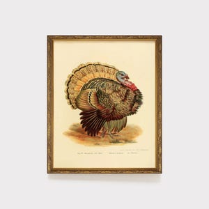 Vintage Thanksgiving Turkey Art, Thanksgiving Decor, Printable Fall Wall Painting, Turkey Gobble, Neutral Moody Holiday Art, Friendsgiving