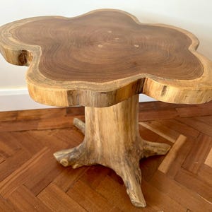 May include: A side table crafted from a natural wood slice with a smooth, dark brown circular top featuring visible tree rings. The base is formed from a light-coloured, textured tree stump with exposed roots that provide stability to the structure.