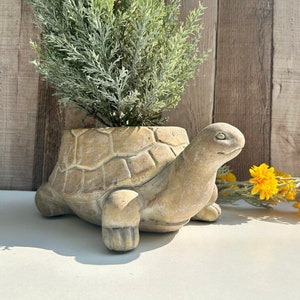 Turtle / Tortoise / Turtle Planter / Turtle Plant Pot / Tortoise Planter / Tortoise Plant Pot / Turtle Tortoise Gifts / Flower Plant Pot