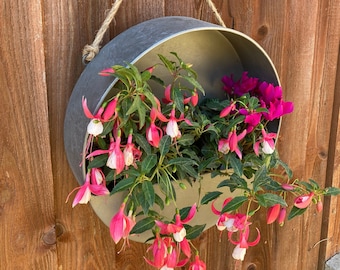 Zinc Metal Wall Planter Grey Fence Rope Hanging Flower Plant Planting Pot 30cm Can Be Personalised