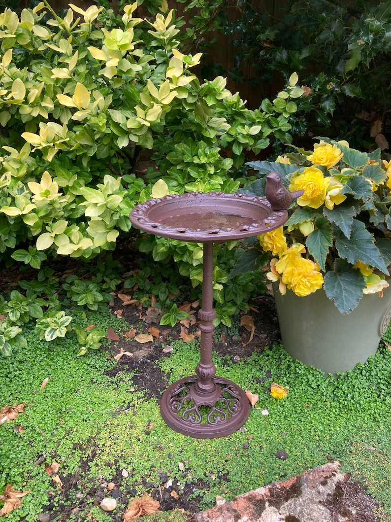 May include: A brown cast iron bird bath with a small bird figurine on the rim. The bird bath is on a pedestal with an ornate base. The bird bath is surrounded by green plants and yellow flowers.