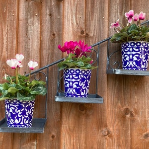 May include: Three potted cyclamen plants with pink and white flowers are displayed on a black metal shelf unit attached to a wooden wall. The pots are blue and white with a floral pattern.