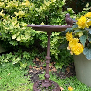 May include: A brown cast iron bird bath with a decorative base and a small bird figurine on the rim. The bird bath is sitting on a bed of green moss.