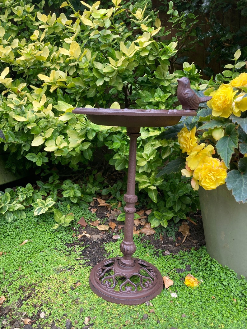 May include: A brown cast iron bird bath with a decorative base and a small bird figurine on the rim. The bird bath is sitting on a bed of green moss.