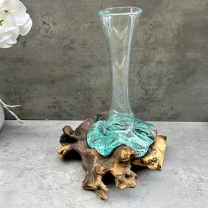 May include: A clear glass vase with a teal green base sits on a piece of driftwood. The vase is tall and slender, and the driftwood is rough and natural.