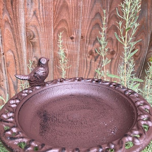May include: A brown cast iron bird bath with a bird figurine on the rim. The bird bath has a decorative, scalloped edge and is sitting on a green plant.