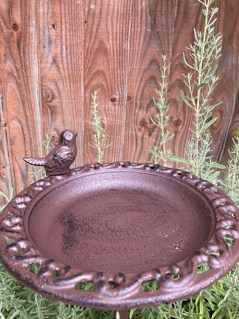 May include: A brown cast iron bird bath with a bird figurine on the rim. The bird bath has a decorative, scalloped edge and is sitting on a green plant.