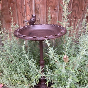 May include: A brown metal bird bath with a bird figurine on top. The bird bath is on a stand with a decorative base. The bird bath is surrounded by green plants.
