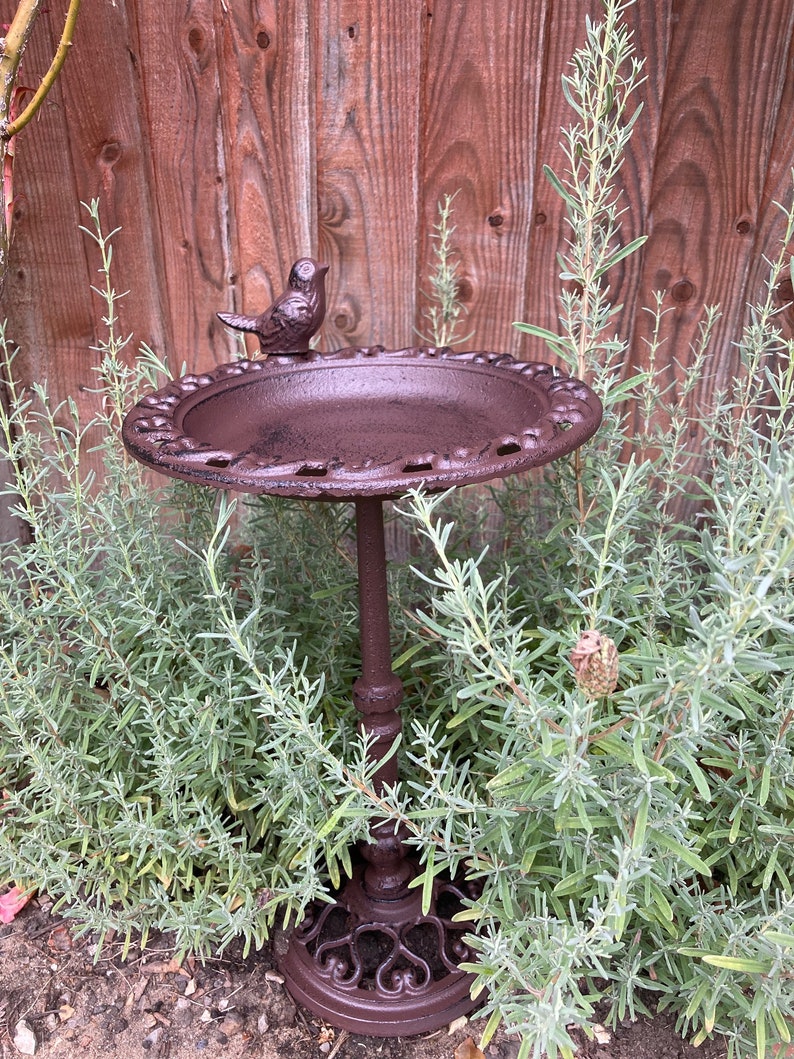 May include: A brown metal bird bath with a bird figurine on top. The bird bath is on a stand with a decorative base. The bird bath is surrounded by green plants.