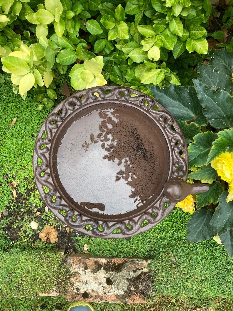 May include: A brown cast iron bird bath with a decorative design. The bath is filled with water and has a bird perched on the edge.